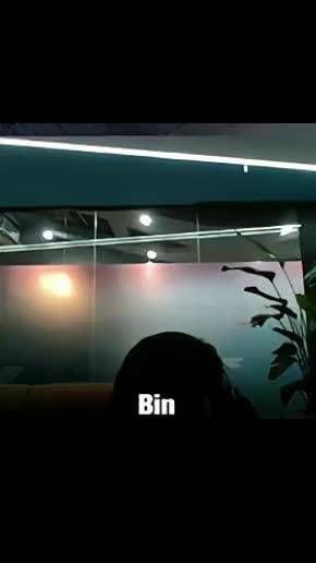 《消失的bin哥》