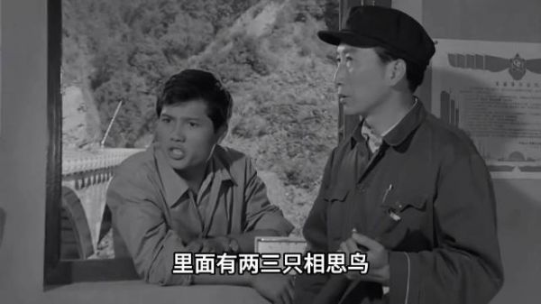 老警察山中追查命案线索遭袭，羽毛牵出惊天秘密