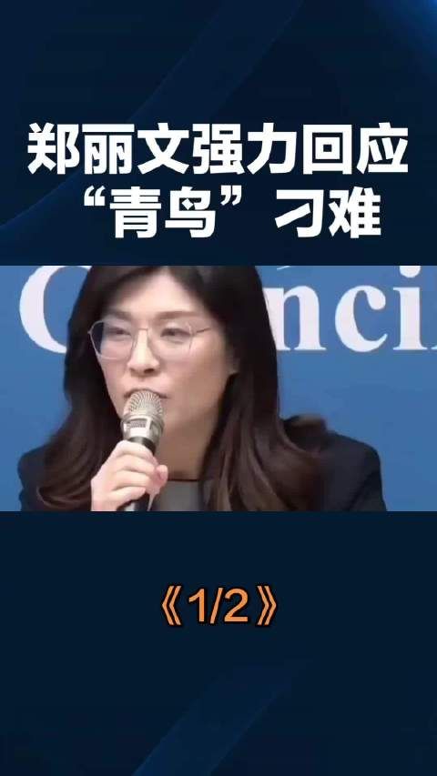 郑丽文强力回应青鸟刁难