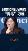 郑丽文强力回应青鸟刁难
