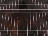 一口气精讲：三所里战役38军113师夜袭72.5公里！