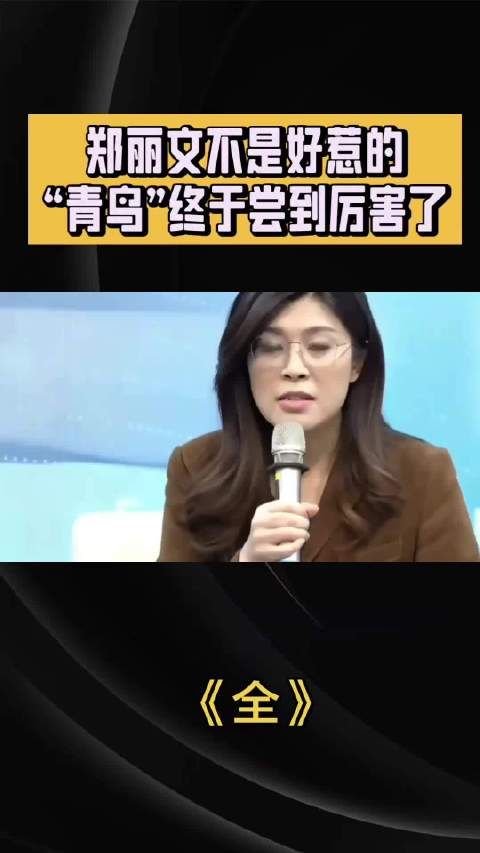 岛内青鸟终于尝到郑 丽文的厉害了