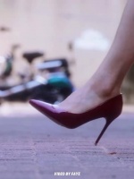 我胃不好，爱喝小米粥～ 优雅的女人 周涛