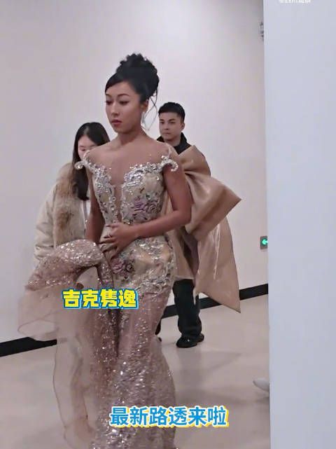 众星齐聚四川新年音乐会