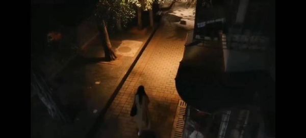 温以凡桑延跨年热梗引热议，白敬亭章若楠新剧受关注