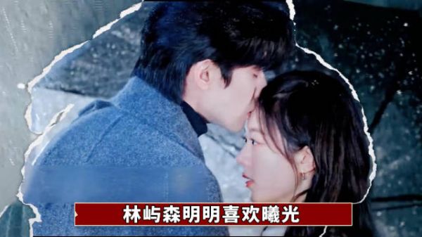 《骄阳似我》16、17集伏笔引热议,林屿森安排曦光加班引猜测