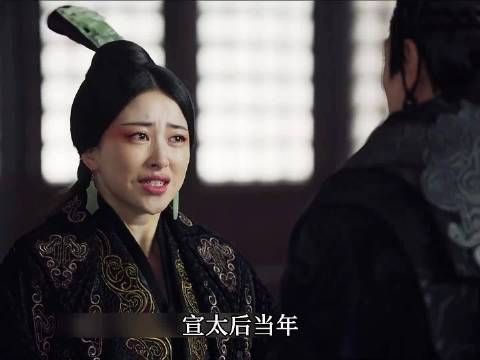 赵姬拿自己与宣太后作比,想要让嬴政放过她与嫪毐所生的孩子