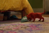 红色拉布拉多幼崽在爱的魔法下一夜之间长到三米高