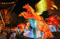 江苏南京：灯彩亮 迎新年