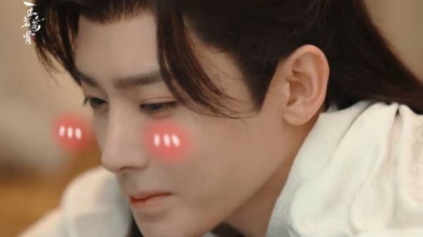 收拾收拾准备看今日份小茶猫了