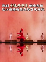 舞剧牡丹亭每一帧都美到心颤