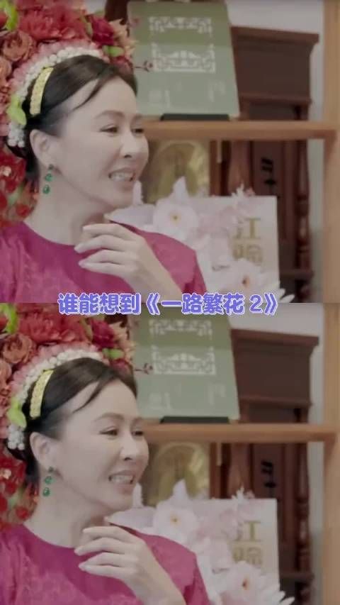 从针锋相对到惺惺相惜,嘉飞猫的情感走向藏着最珍贵的相处智慧