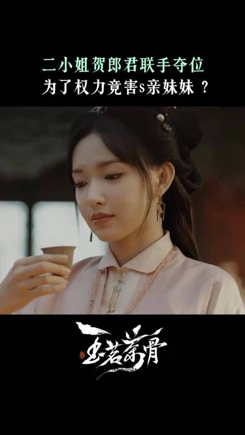 我这有监控录像，我要禀告大小姐！ 玉茗茶骨 程潇 李菲 余茵