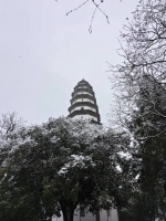 韦向阳 ：初冬登白塔山记