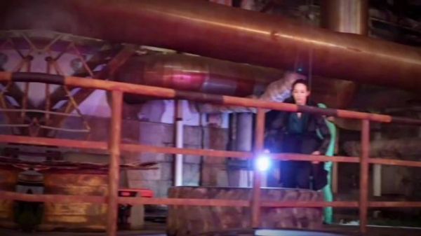 张钧甯被指撞脸朱迪兔，网友称其适合演兔子警官