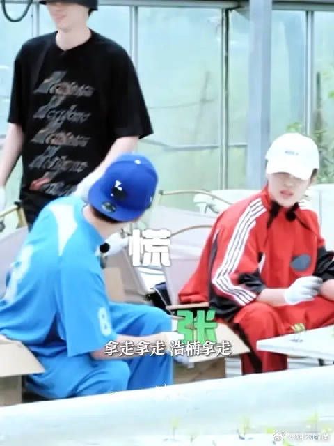 “不要怕鹭卓”