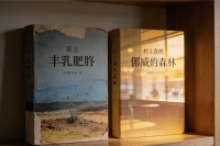 祖上的荣光洗不净历史记忆中的痛：发展才是硬道理