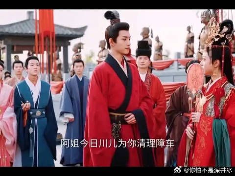 双向奔赴的皇家姐弟，但却是自家奔自家