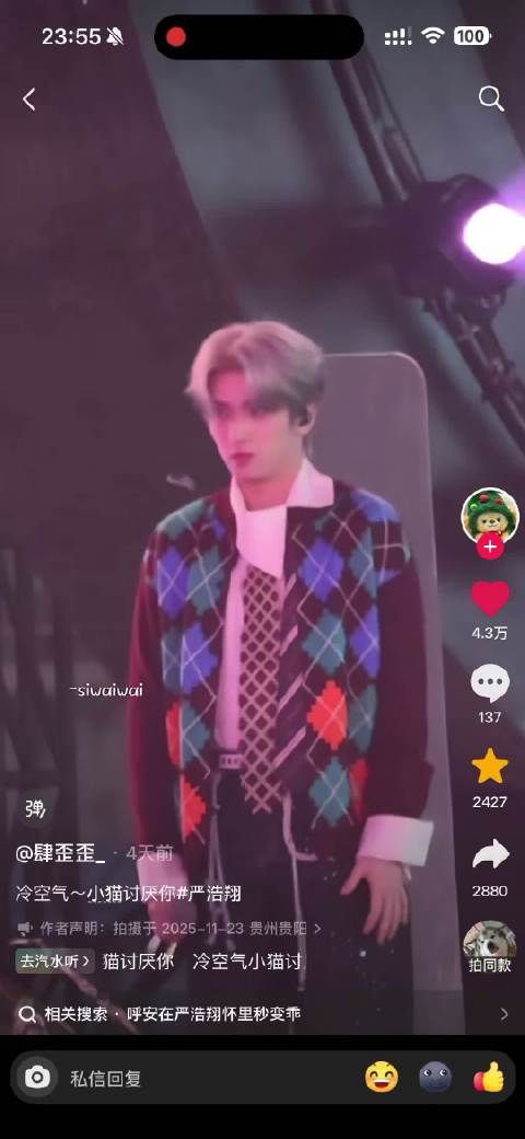 真小猫闯进小猫赛道