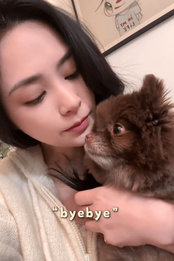 钟欣潼抱着软萌小狗玩耍好惬意。