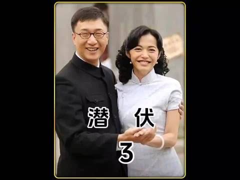 内地谍战剧《潜伏》第三十集:男子面对特务的种种难题,看他如何巧妙化解..