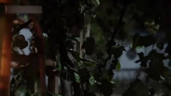 覆流年：小妾怀上身孕，以为能够母凭子贵，不料王爷对她这态度！