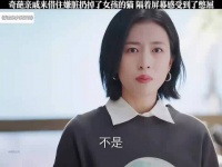 奇葩亲戚来借住 嫌脏扔了女孩的猫 隔着屏幕都感受到了委屈