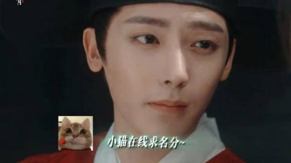 就是要又争又抢！不然你以为茶猫的名份怎么来的？侯明昊 娜扎