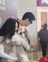 杜江夫妇带宠物狗参加犬展 霍思燕皮草造型贵气十足