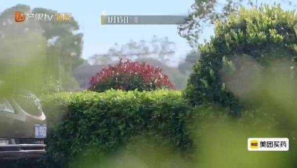 《再见爱人》返场嘉宾轰趴,最终抉择引期待