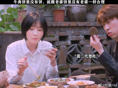 牛粪饼里没有饼 鹅滴神片