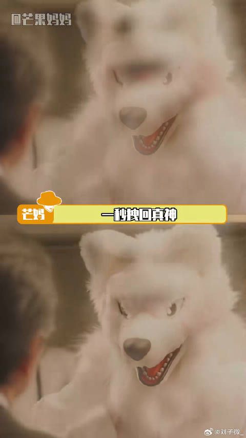 道枝骏佑想要道枝骏佑得到 颜值michi