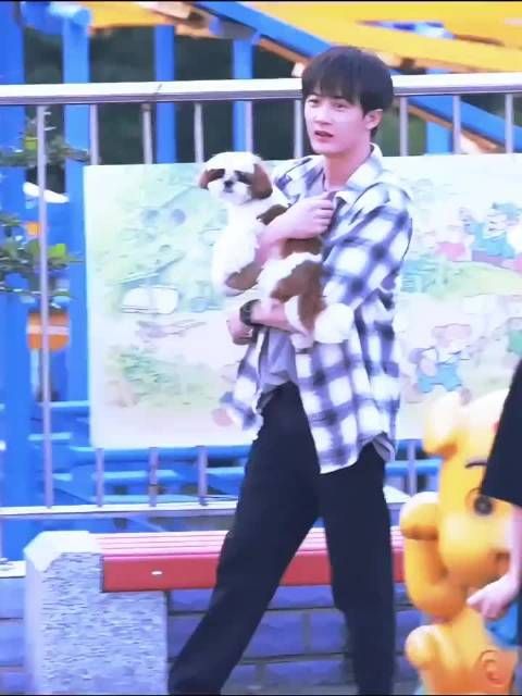 再不快乐的人看到这个美好的视频都要被治愈了吧