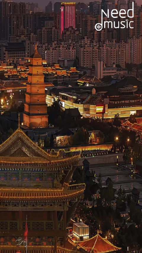 王菲，被时代记住的名字