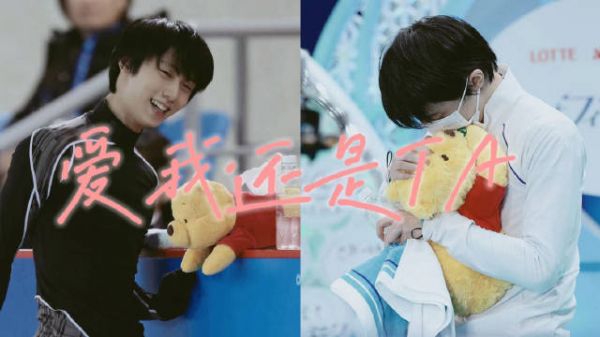 一只猫与两只熊的修罗场 爱我还是TA?