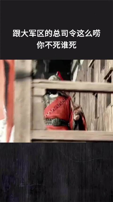 跟大军区的总司令这么唠，你不死谁死