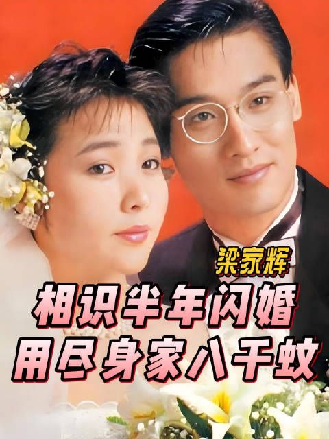 与江嘉年 认识半年就闪婚,用尽全部身家八千蚊,黎芷珊TVB四味毒叔