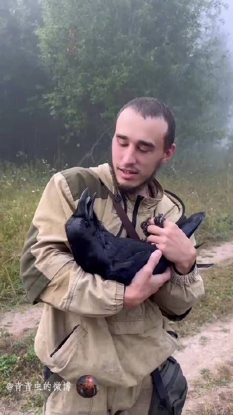 同球为碳基，人龙情未了