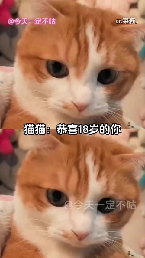 你可以 慢一点忘记我吗（cr.菜籽.） 你可以慢一点忘记我吗我的幽默灵感片场