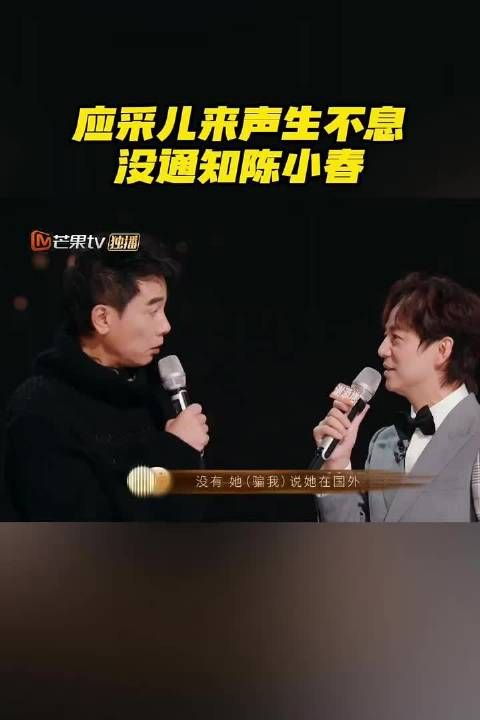 应采儿惊喜现身观众席，陈小春直呼你完蛋了遭眼神杀