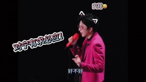 看演唱会 顺便旅个游 见一见网友 吃点好吃的