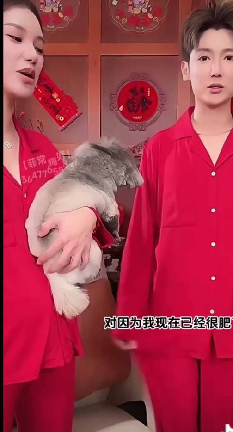 马晓梅生子成汪家未来接班人，受宠程度超大S子女