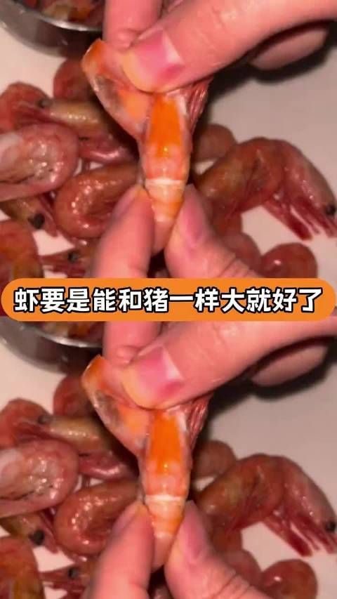 虾若与猪同大你敢吃吗