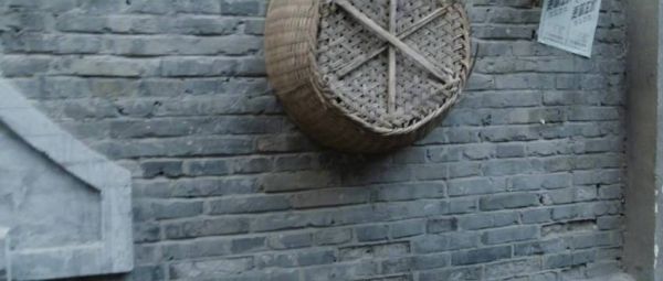 威特·陈引爆炸弹殉义，武木一郎陷绝境