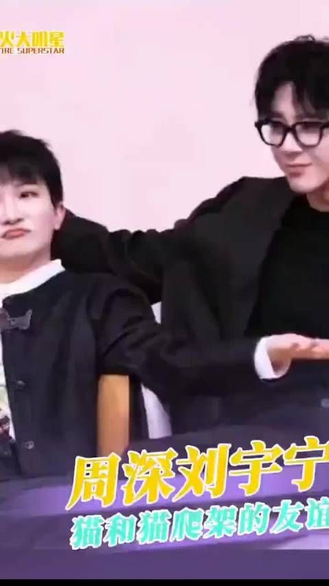 周深刘宇宁猫和猫爬架的友情 刘宇宁 #周深刘宇宁友谊久久