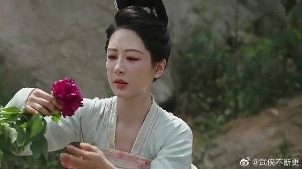 前婆婆来到长安城，见何淮芳没死恼火，派刺客刺杀她