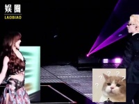 王鹤棣 请赵露思 虞家粉丝集体破防？殊不知背后全是性格和人品的双向吸引