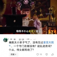 宫女误入寝宫怀康熙骨肉，产龙凤胎后殒命火海