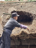 “大寒”来了，草堂又开始给杜甫修整茅屋了