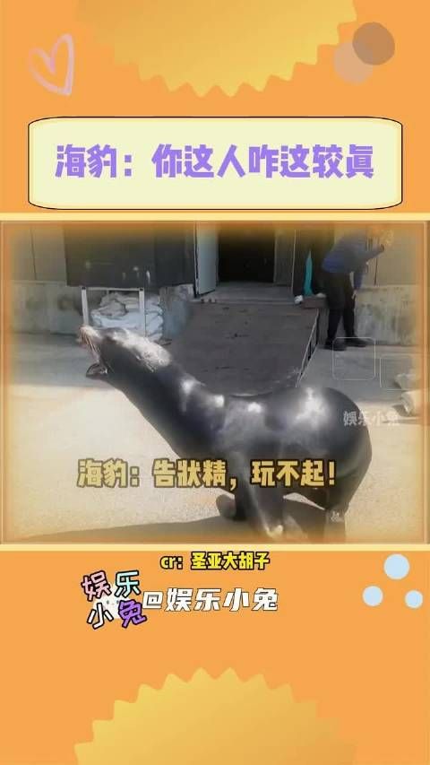 以为是抽象,没想到是实况…….